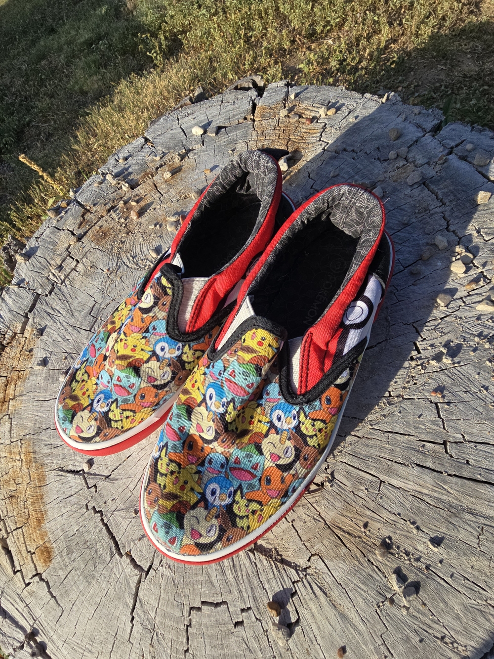 Pokemon Kids Multicolor Slip-On Sneakers with Red Trim